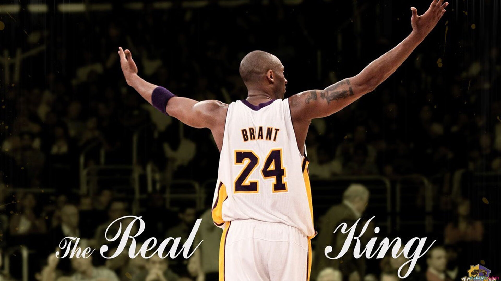 爱游戏官方-“激情无限：每一圈都燃烧的赛车热血”，激情燃烧岁月简谱