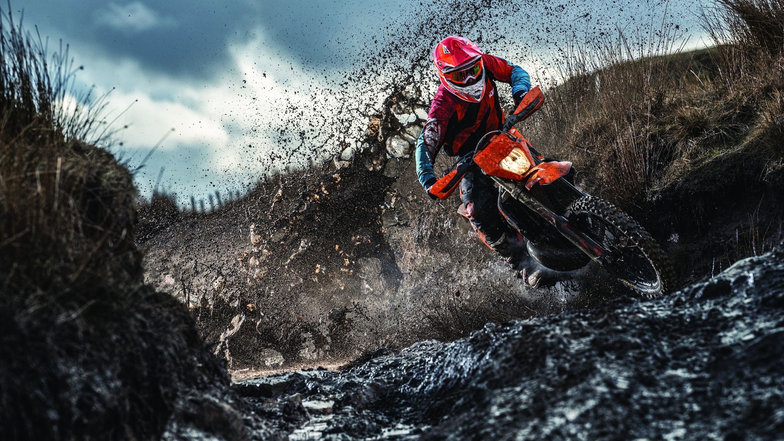 安德烈斯·特米尼奥和埃莉亚·卡纳莱斯在韩国济川世界杯混合团体赛中获得铜牌